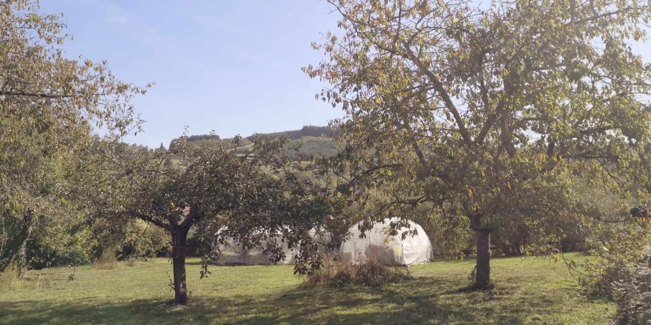 Petit Gite Ou Chambre D'Hotes 2/4 Personnes Buffieres Εξωτερικό φωτογραφία